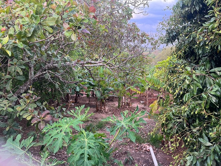 Casa à Venda no Centro de Quatá com Terreno de 722 m² e Clim