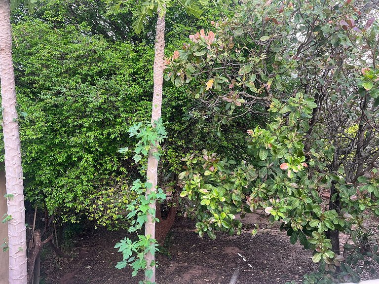 Casa à Venda no Centro de Quatá com Terreno de 722 m² e Clim