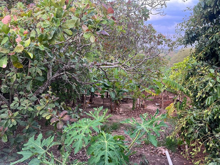 Casa à Venda no Centro de Quatá com Terreno de 722 m² e Clim